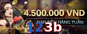 123b